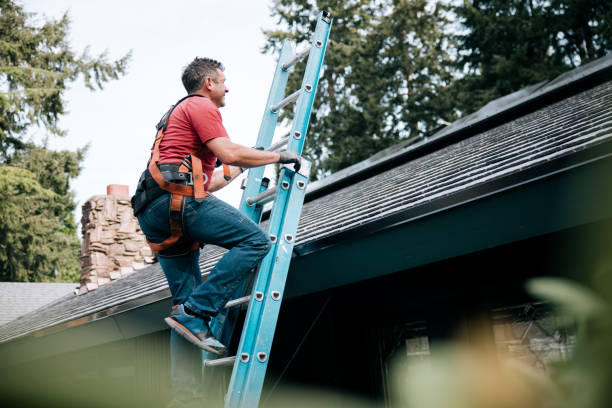 Best 4 Ply Roofing  in Clifton, IL